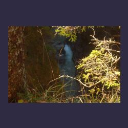 2012-10-20_Fall_AQUILA (009)b.JPG